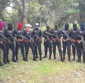 IPOB/ESN members killed and beheaded their chief priest in Imo – Police