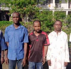 Police arrest five men for allegedly sodomising 20-year-old man in Kano