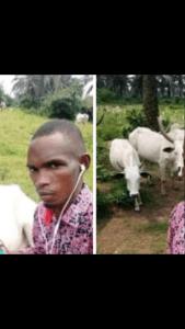 Police declare man wanted for allegedly stealing 89 cows in Akwa Ibom