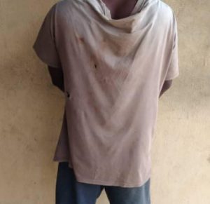 Police rescue kidnapped victim in Delta, arrest suspected kidnapper