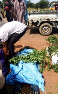 Five killed, two others injured in fatal auto crash in Kano (graphic photos)