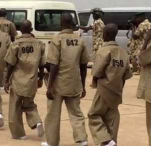 Surrendered Boko Haram members reportedly riot over cow meat in Maiduguri