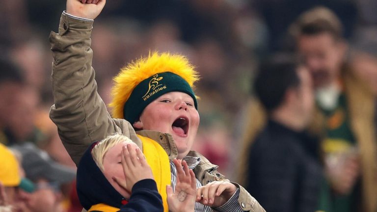 wallabies-fan-1200x675.jpg