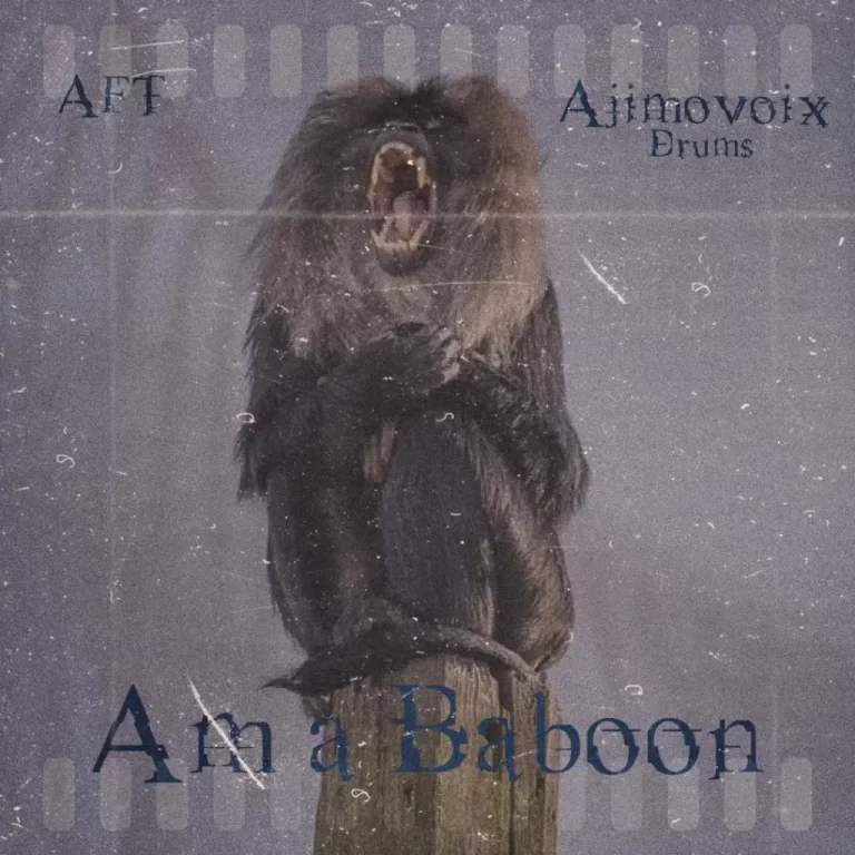 Ajimovoix Drums – Am A Baboo