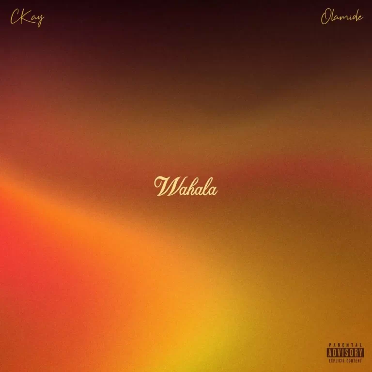 CKay Ft. Olamide – Wahala